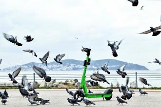 Click image for larger version

Name:	NR_9781.jpg
Views:	357
Size:	125.6 KB
ID:	199