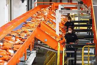 Click image for larger version

Name:	AGUSTOS2021_trend2.jpg
Views:	406
Size:	347.5 KB
ID:	324