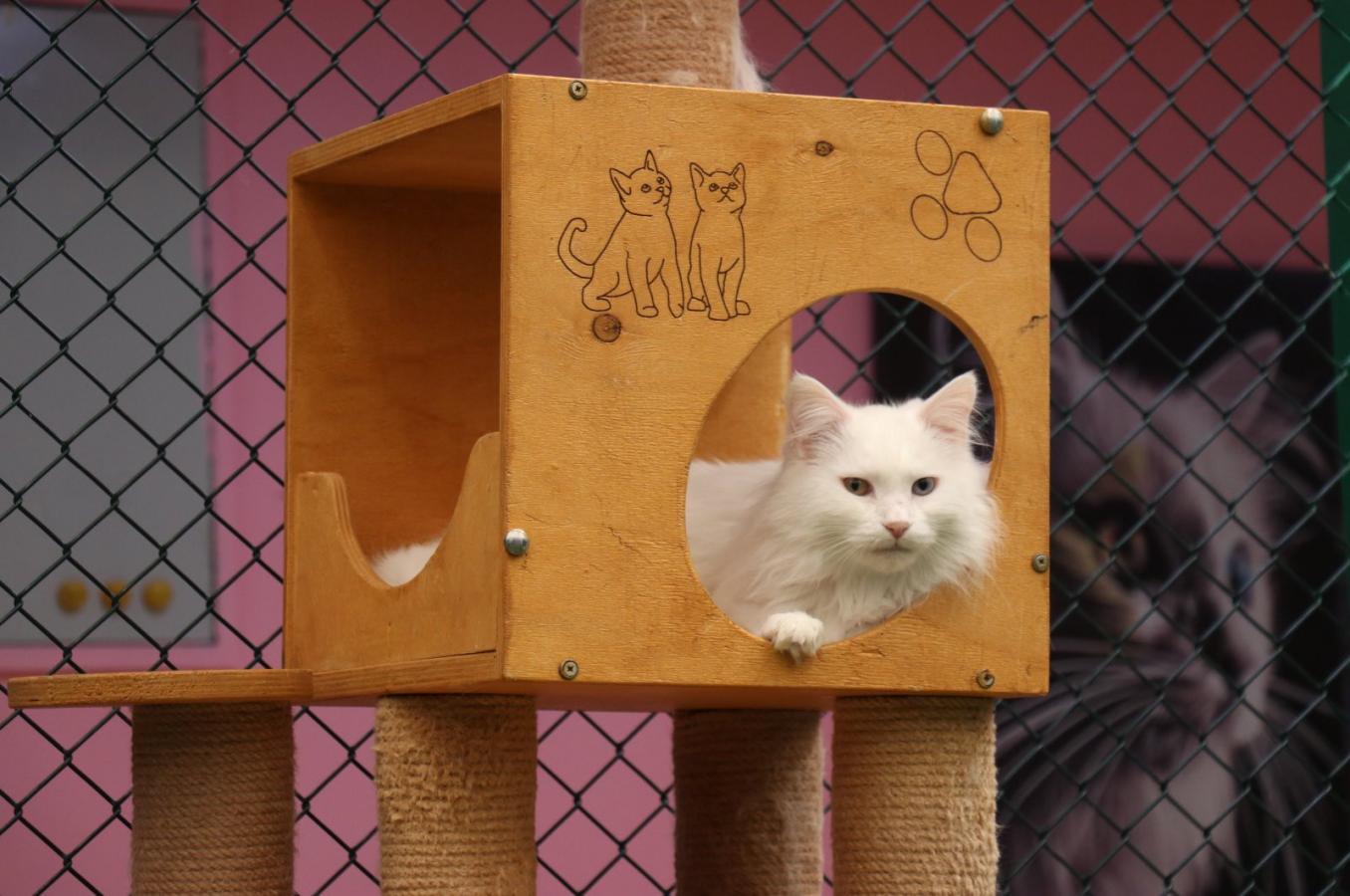 Click image for larger version

Name:	189627.jpg
Views:	211
Size:	127.3 KB
ID:	673