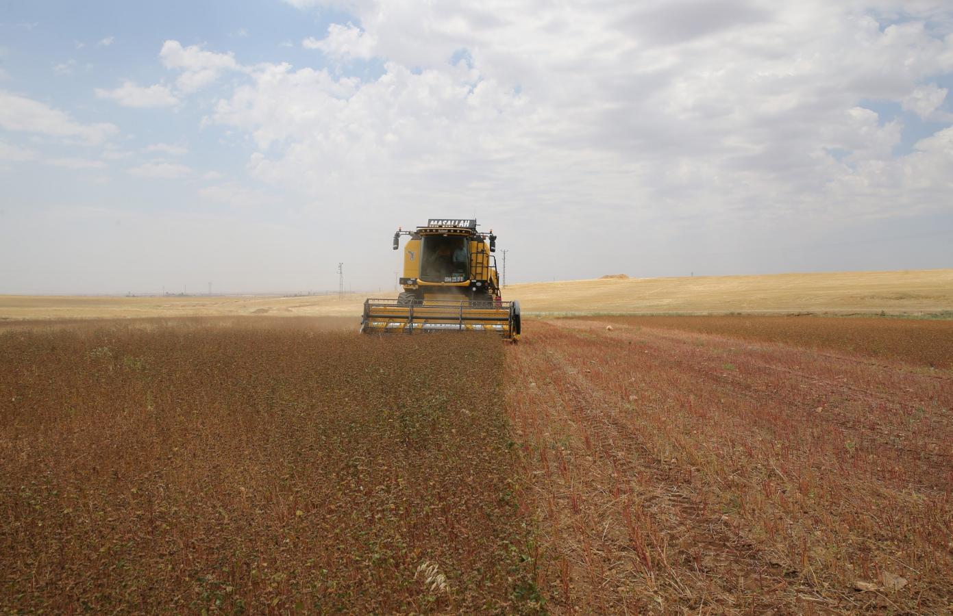 Click image for larger version

Name:	215586.jpg
Views:	98
Size:	173.7 KB
ID:	1020