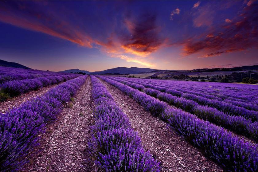 Click image for larger version

Name:	f5f3dd44-c210-4a3f-b43f-974e5930d70e.jpg
Views:	216
Size:	166.5 KB
ID:	1157