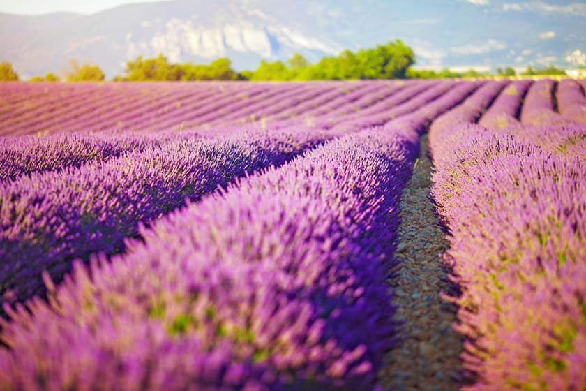 Click image for larger version

Name:	9b2f04a4-3f97-4f73-b6a8-ca8b13e29b16.jpg
Views:	105
Size:	150.6 KB
ID:	1160