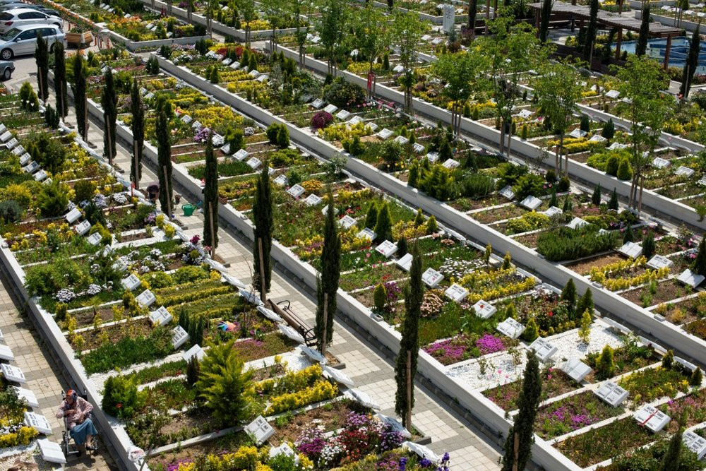 Click image for larger version

Name:	247035.jpg
Views:	149
Size:	385.0 KB
ID:	1680