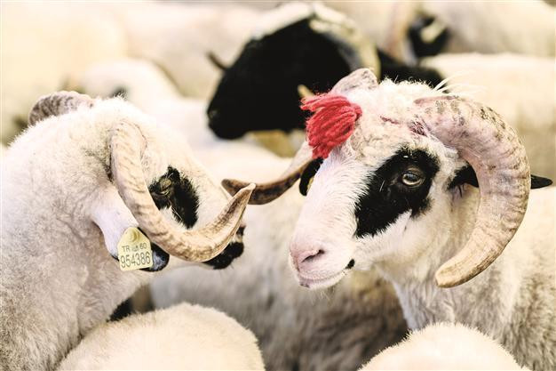 Click image for larger version

Name:	59c8749045d2a027e83c2e60.jpg
Views:	95
Size:	65.4 KB
ID:	2076