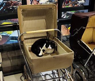 Click image for larger version

Name:	IMG_20230307_115920.jpg
Views:	328
Size:	139.0 KB
ID:	2080