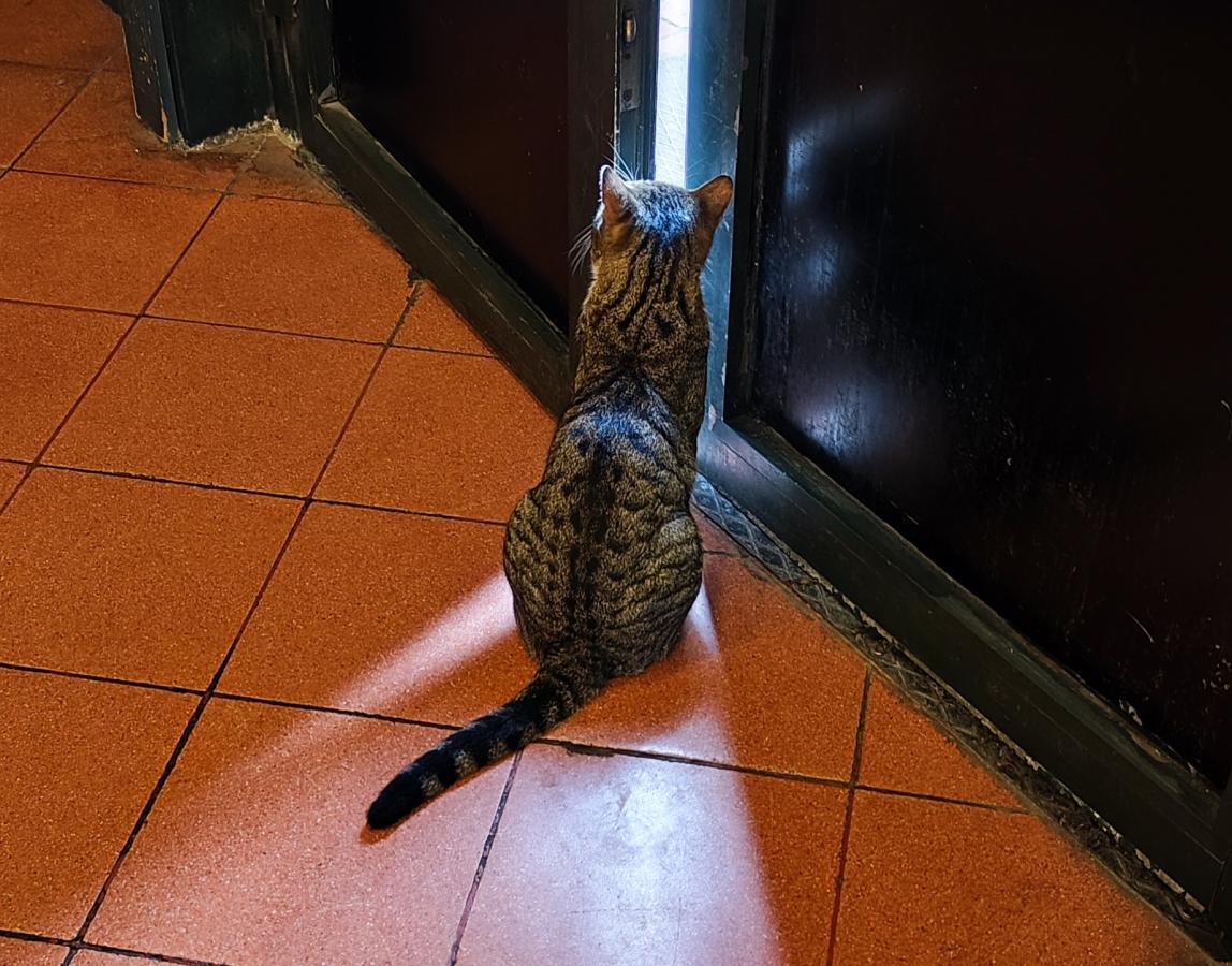 Click image for larger version

Name:	IMG_20230307_122706.jpg
Views:	83
Size:	160.2 KB
ID:	2081