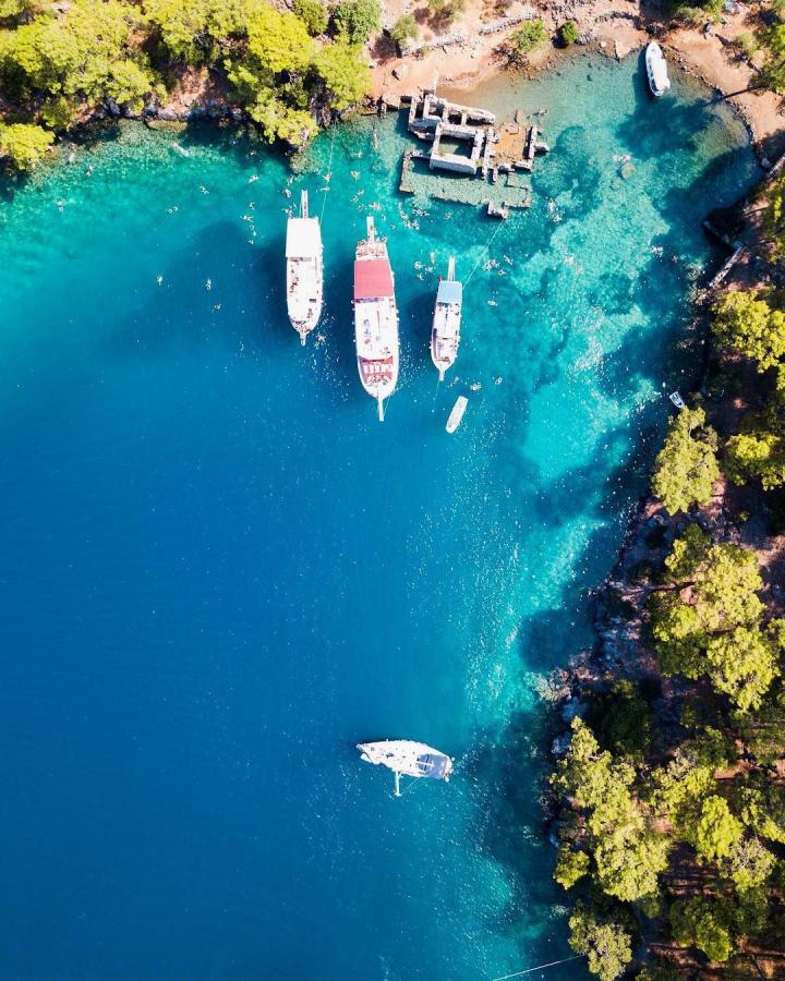 Click image for larger version

Name:	494ac7d6414ea47b8a1293b2cb0f76d4.jpg
Views:	1880
Size:	128.5 KB
ID:	2240