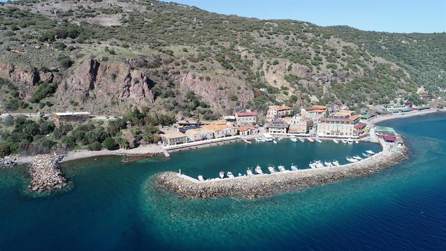 Click image for larger version

Name:	60894f7d0f254413e8b78f3a.jpg
Views:	1081
Size:	172.6 KB
ID:	2514