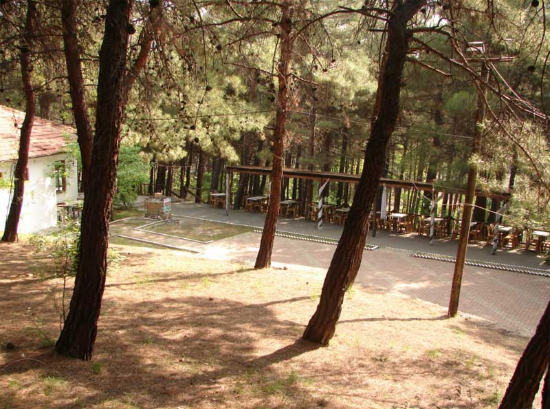 Click image for larger version

Name:	Camlik-Tabiat-Parki.jpg?w=800&amp;ssl=1.jpg
Views:	48
Size:	191.0 KB
ID:	3069