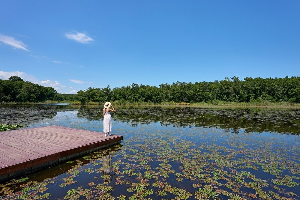 Click image for larger version

Name:	230960.jpg
Views:	66
Size:	233.4 KB
ID:	3074