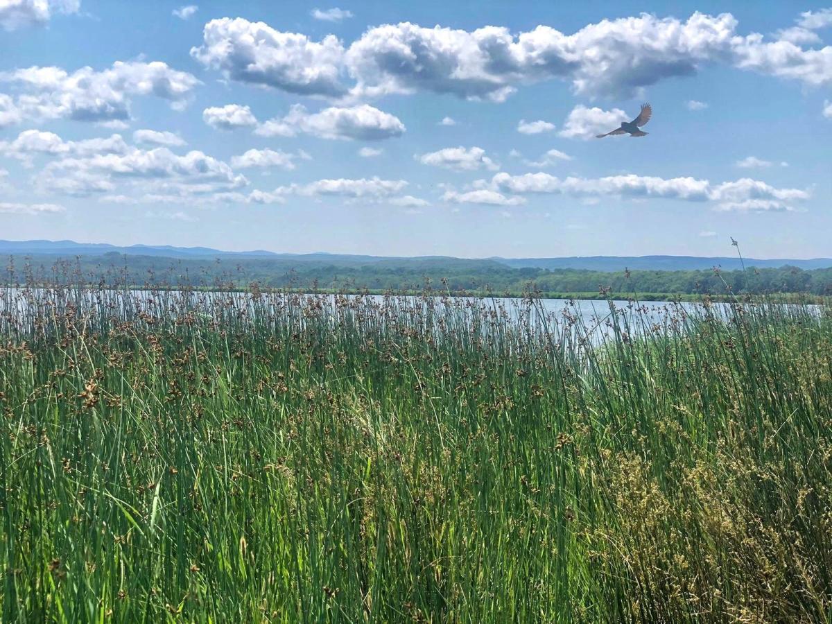 Click image for larger version

Name:	230958.jpg
Views:	39
Size:	243.7 KB
ID:	3075