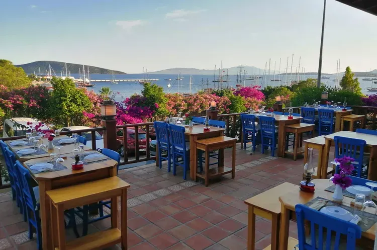 Click image for larger version

Name:	TAL-orfoz-restaurant-bodrum-turkey-BODRUMTG1223-635abd1642984b48a7266b58824c1507.webp
Views:	31
Size:	55.0 KB
ID:	3310
