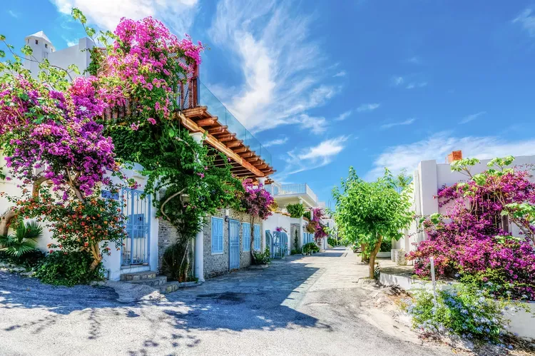 Click image for larger version

Name:	TAL-street-view-bodrum-turkey-BODRUMTG1223-03ea459a9e2a4803b5d64be47d16a8b9.webp
Views:	26
Size:	104.9 KB
ID:	3311
