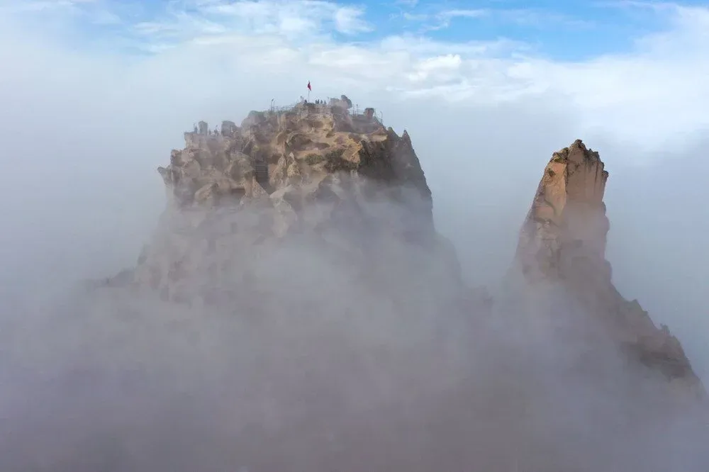 Click image for larger version

Name:	1-12.webp
Views:	40
Size:	17.8 KB
ID:	3542